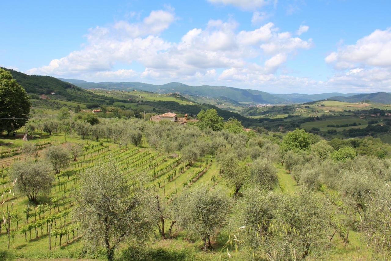 Fattoria Di Caticciano, Elegante Affittacamere Relax E Natura Vicino Firenze Pelago Dış mekan fotoğraf